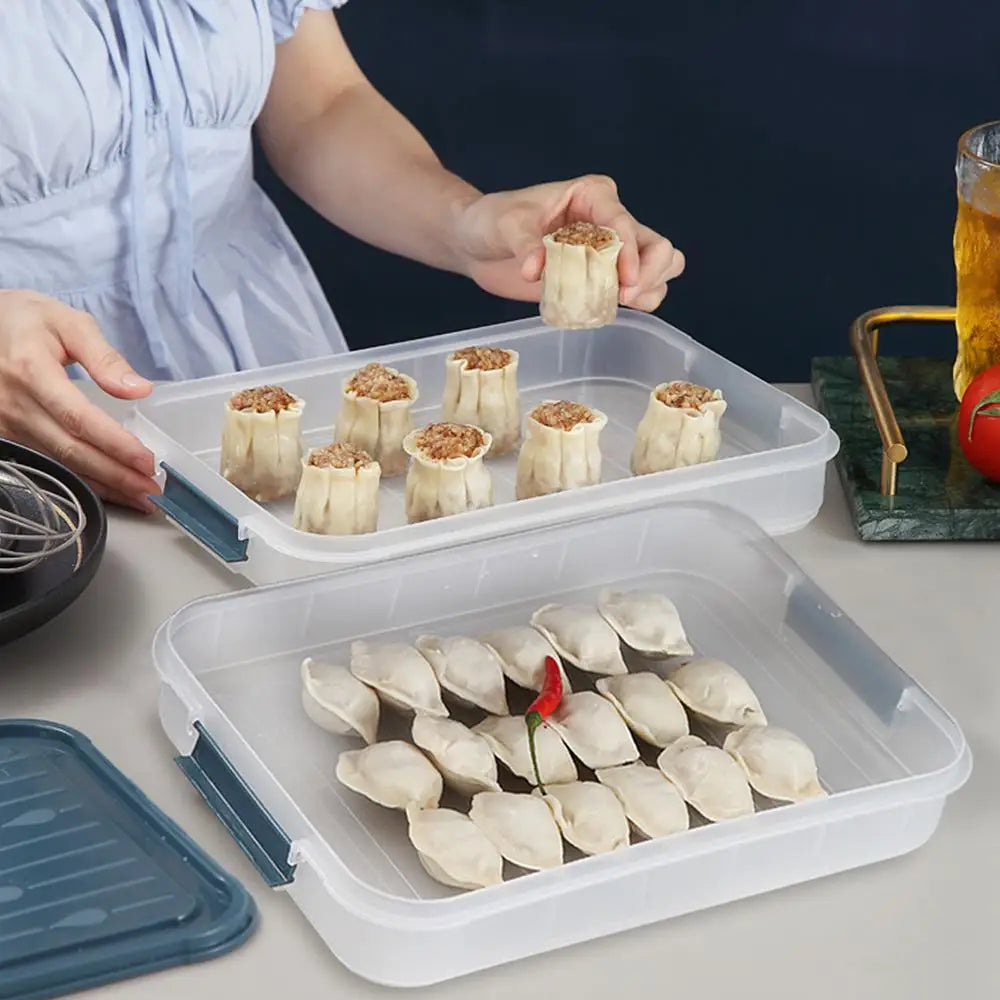 Food Storage Freezer Containers  Clear Freezer Storage Containers Food Storage Containers Reusable Freezer Meal Prep Organizer