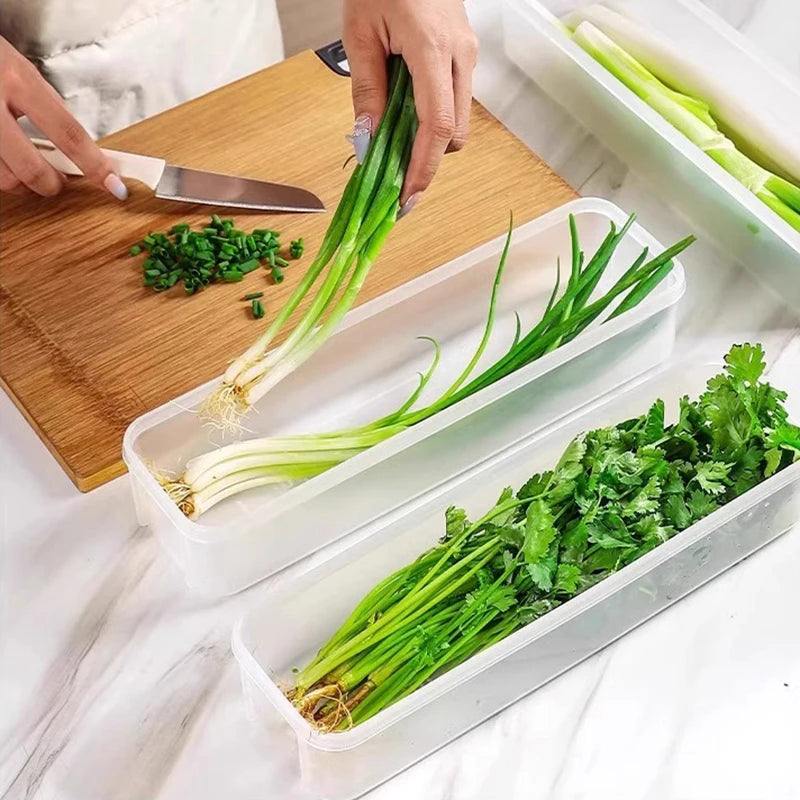 Noodle Storage Box Plastic Spaghetti Preservation Box Food Holder Fresh-keeping Sealed Green Oonion Container Box Kitchen Fridge